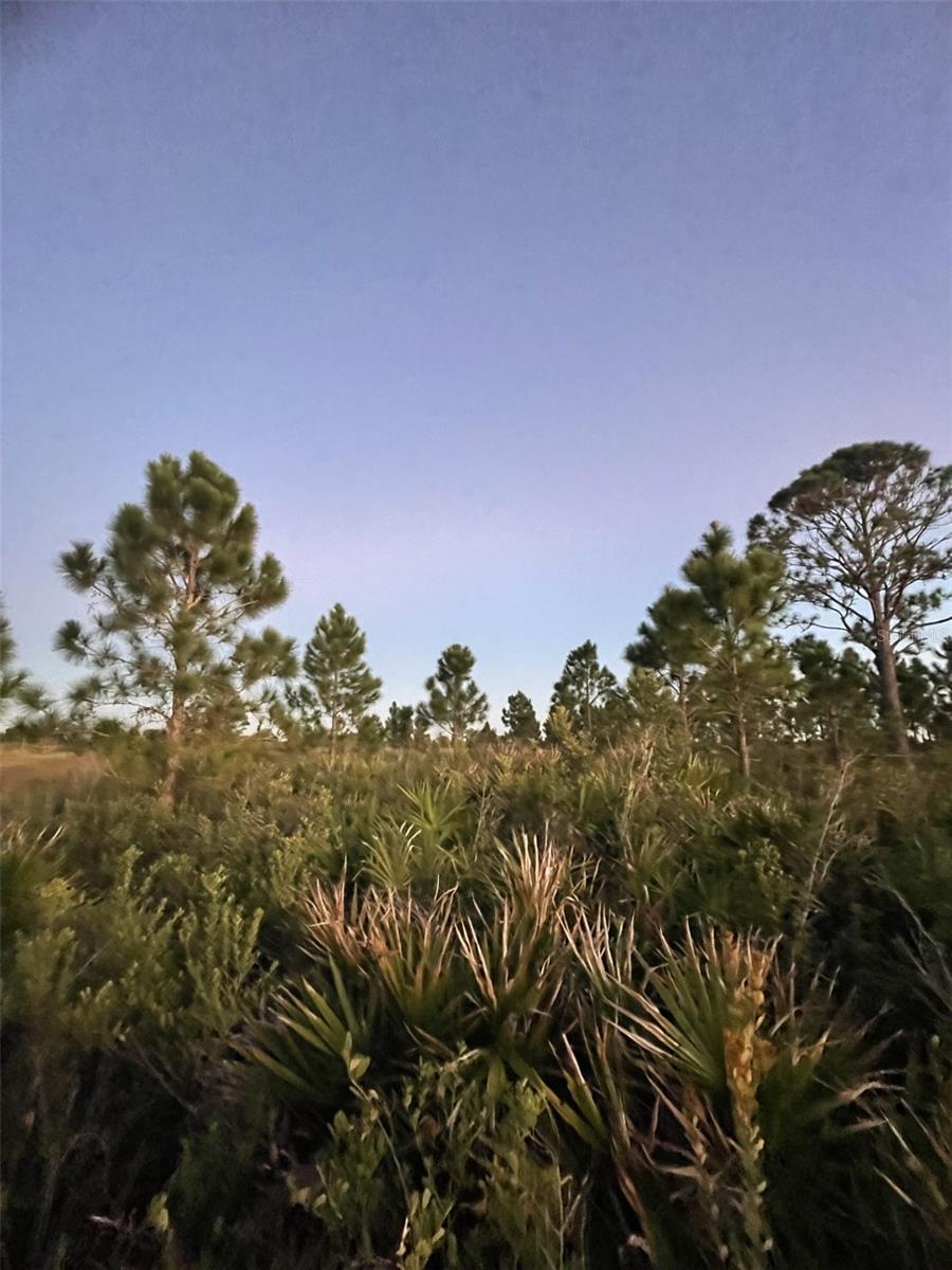 Details for 18572 250th Street, OKEECHOBEE, FL 34972