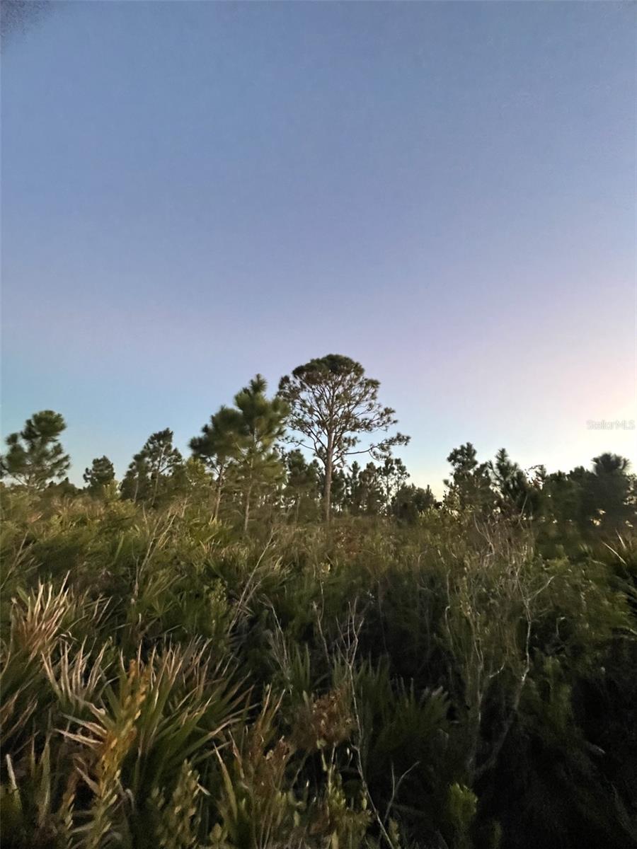 Image 3 of 13 For 18572 250th Street