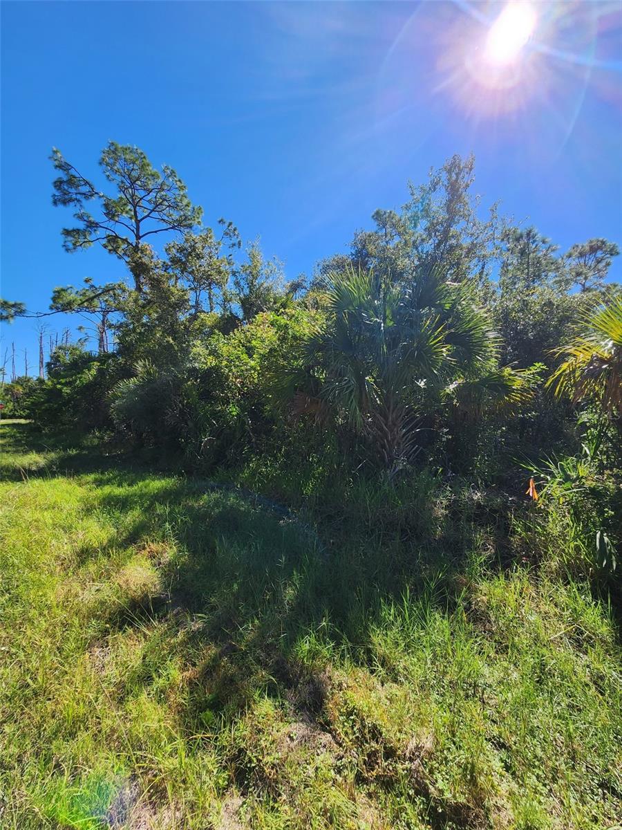 Listing photo id 0 for 14519 Twining Avenue