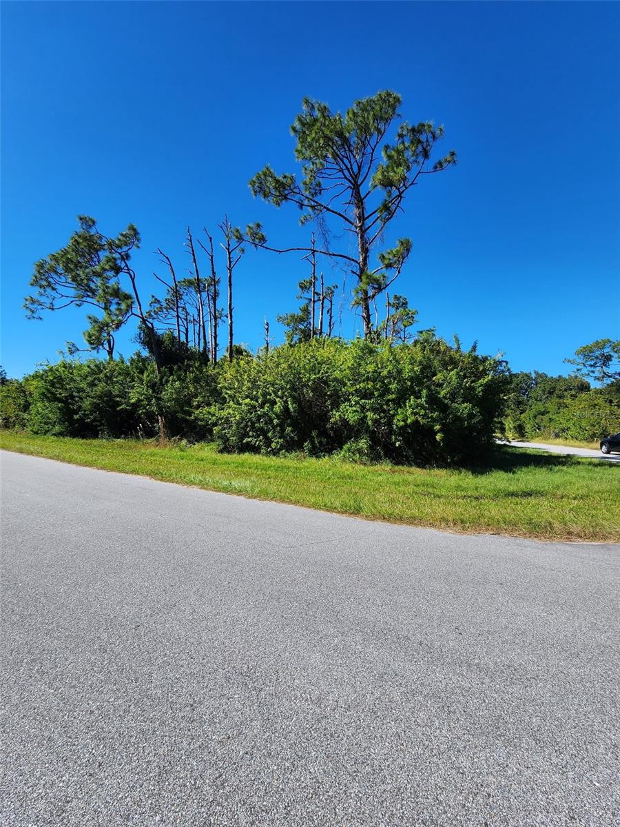 Listing photo id 2 for 14519 Twining Avenue