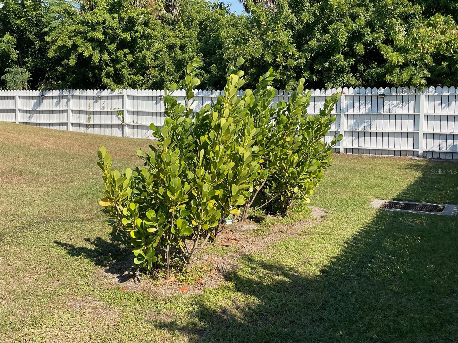 Image 53 of 53 For 549 Tarpon Boulevard Nw