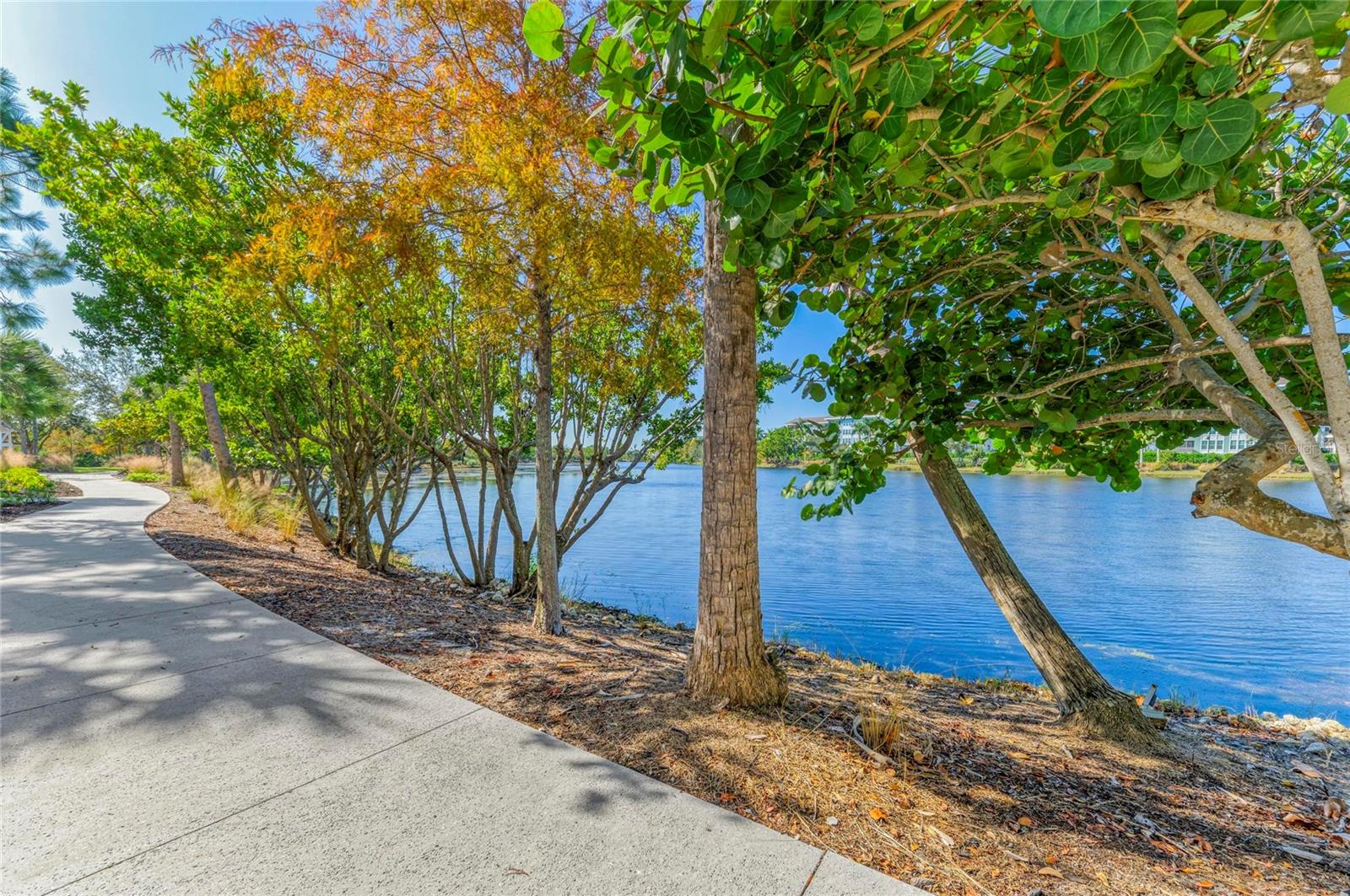 Image 48 of 99 For 348 Sapphire Lake Drive 201