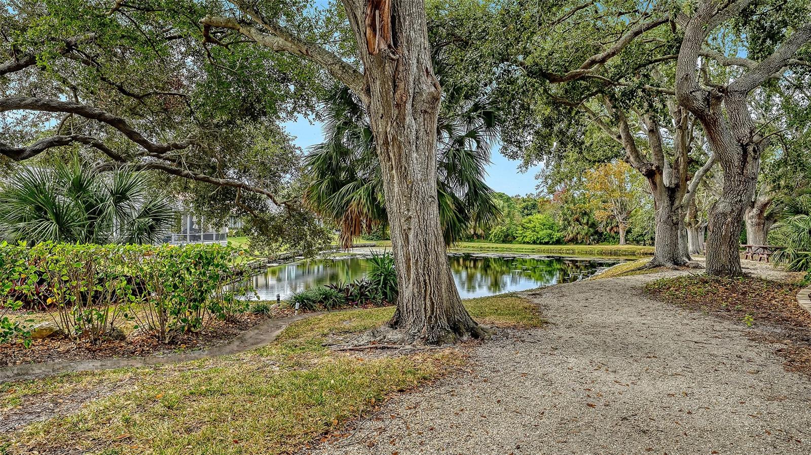 Image 71 of 100 For 311 76th Street Nw