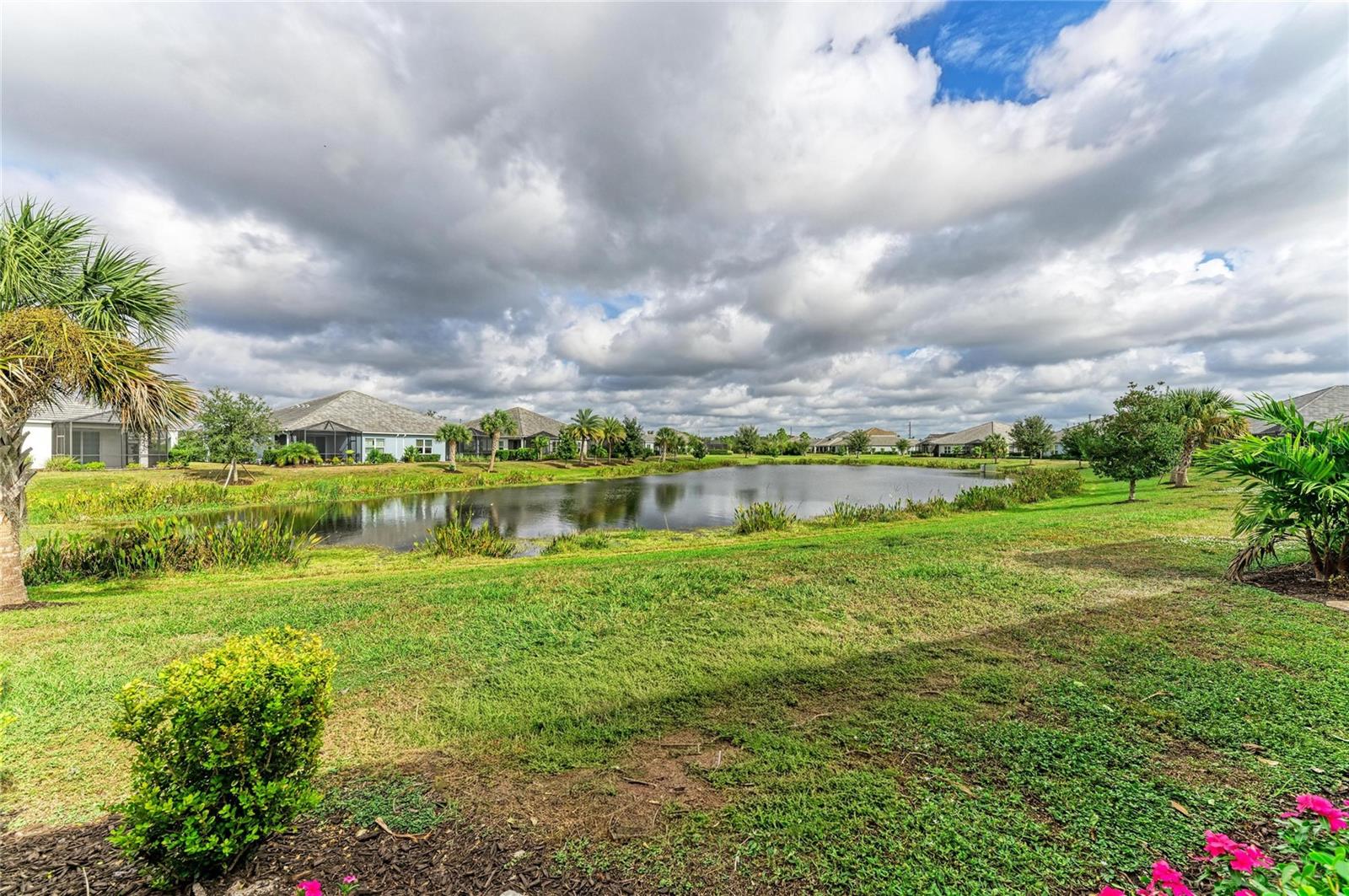Image 36 of 62 For 2883 Butterfly Jasmine Trail