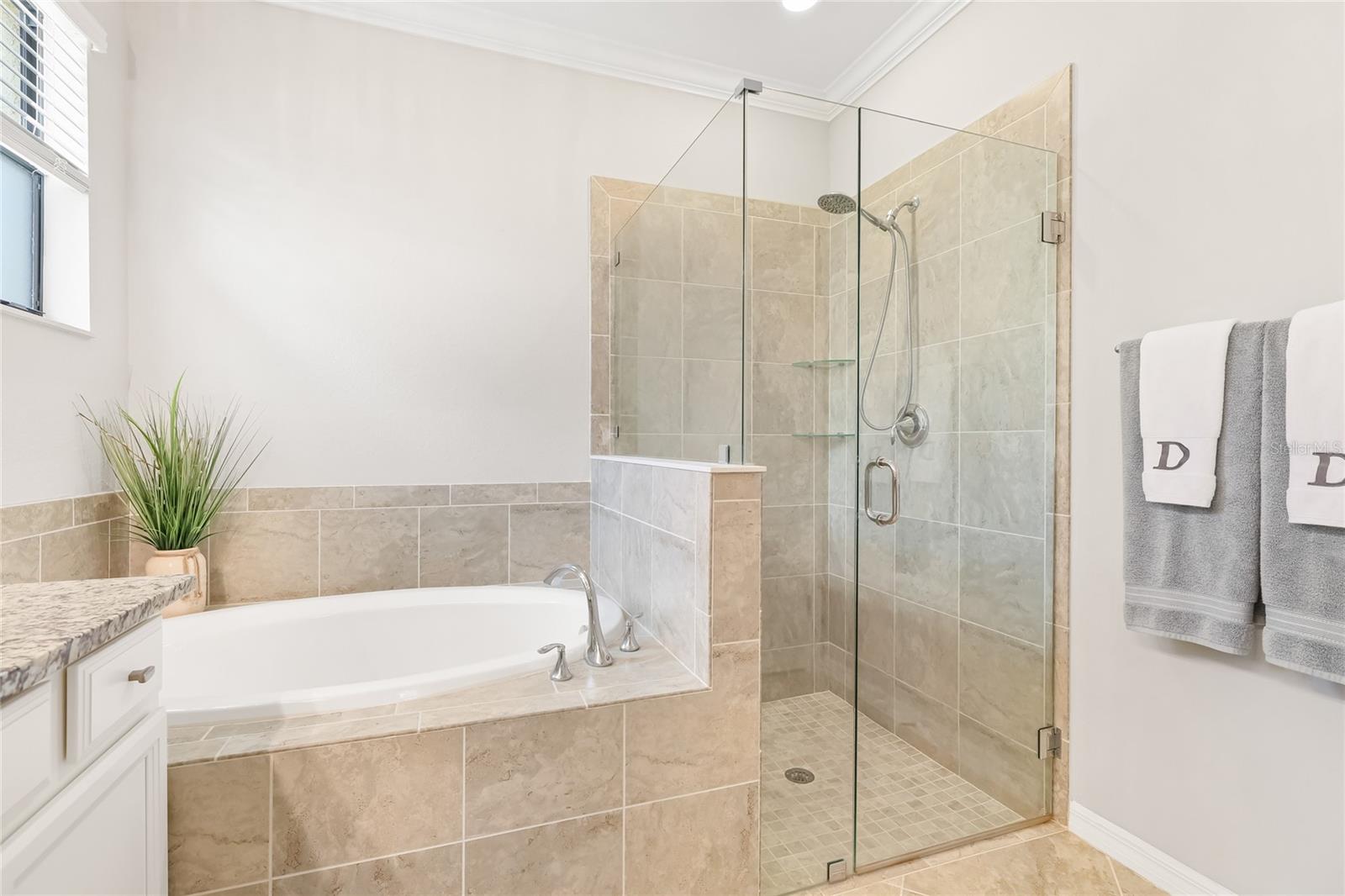 Image 12 of 42 For 12880 Cinqueterre Drive