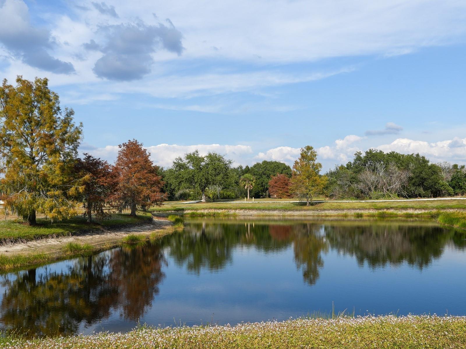 Image 45 of 85 For 6421 Blue Grosbeak Circle