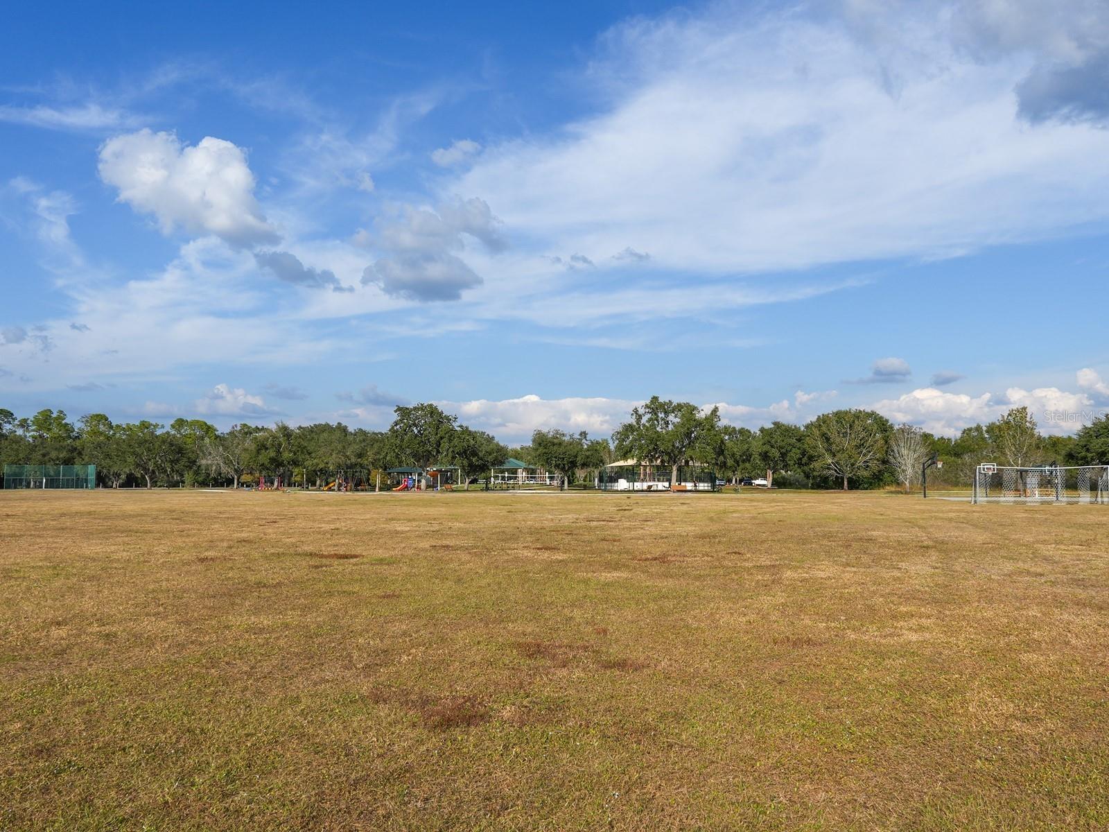 Image 46 of 85 For 6421 Blue Grosbeak Circle