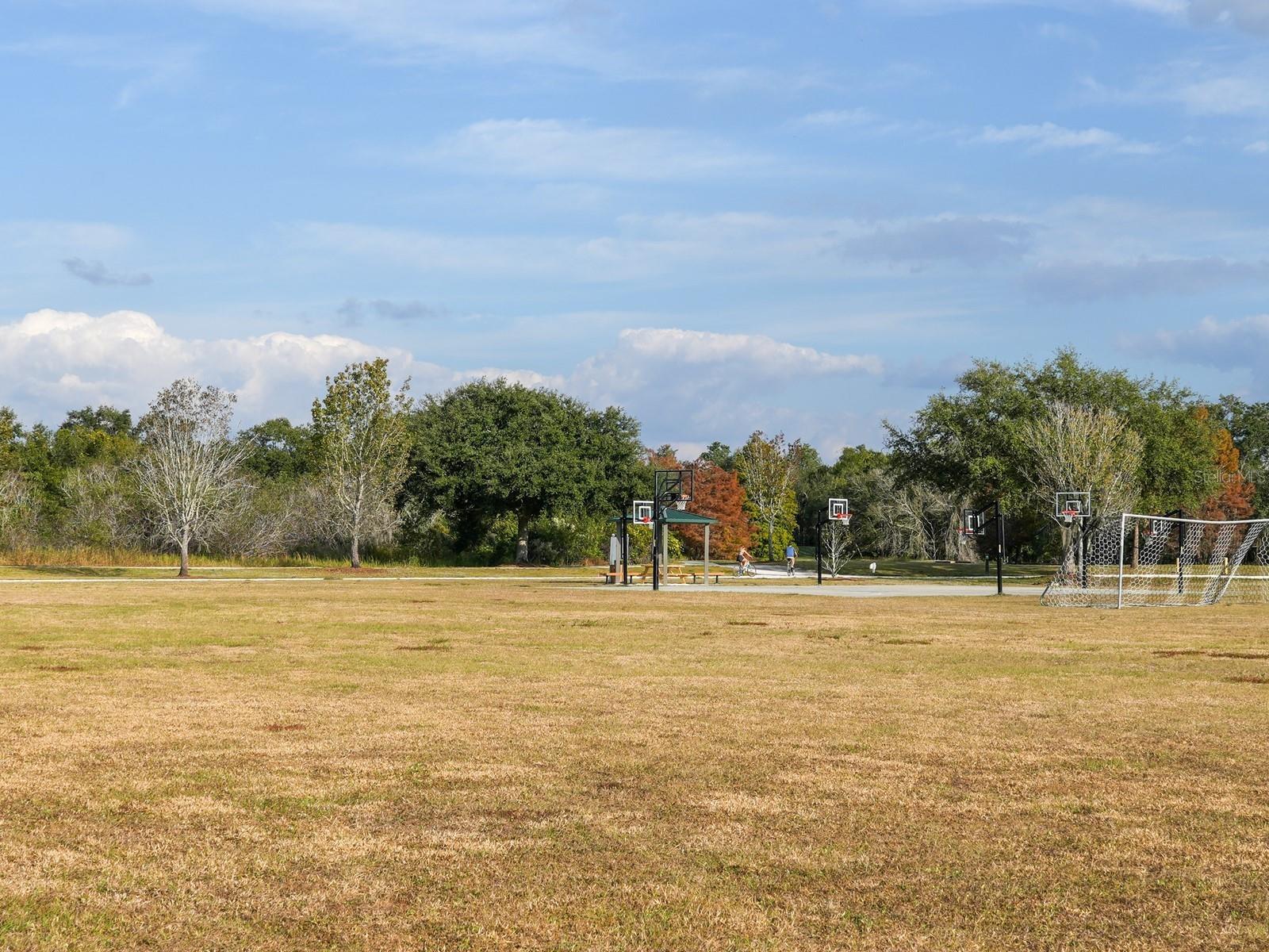 Image 47 of 85 For 6421 Blue Grosbeak Circle