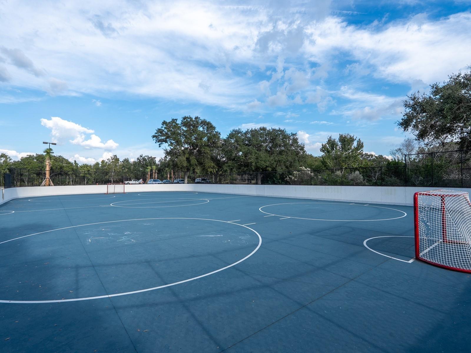 Image 53 of 85 For 6421 Blue Grosbeak Circle