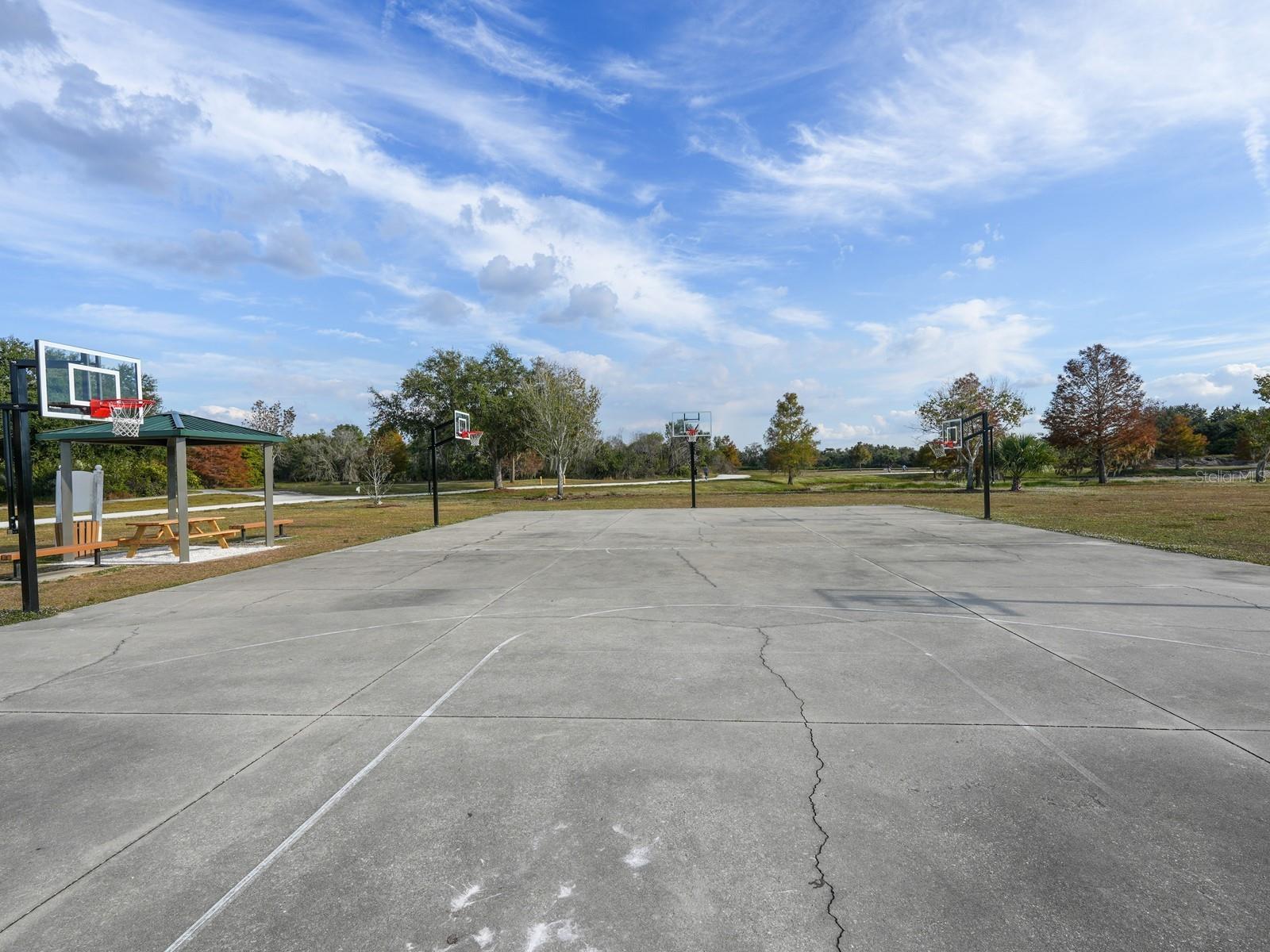 Image 54 of 85 For 6421 Blue Grosbeak Circle
