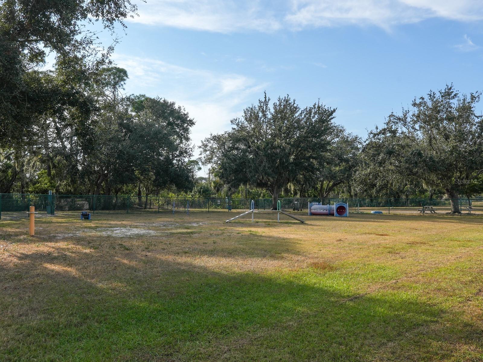 Image 57 of 85 For 6421 Blue Grosbeak Circle