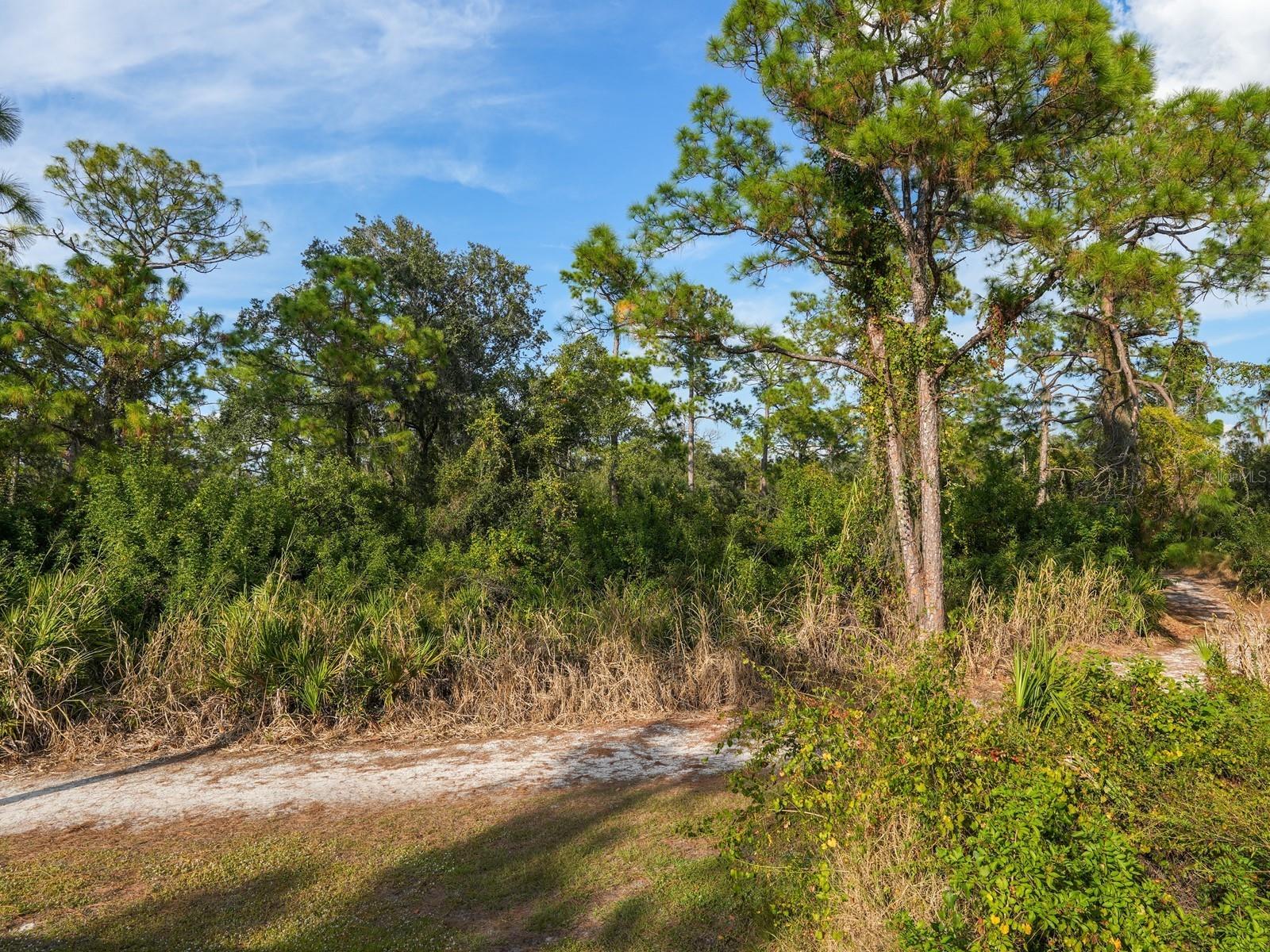 Image 63 of 85 For 6421 Blue Grosbeak Circle