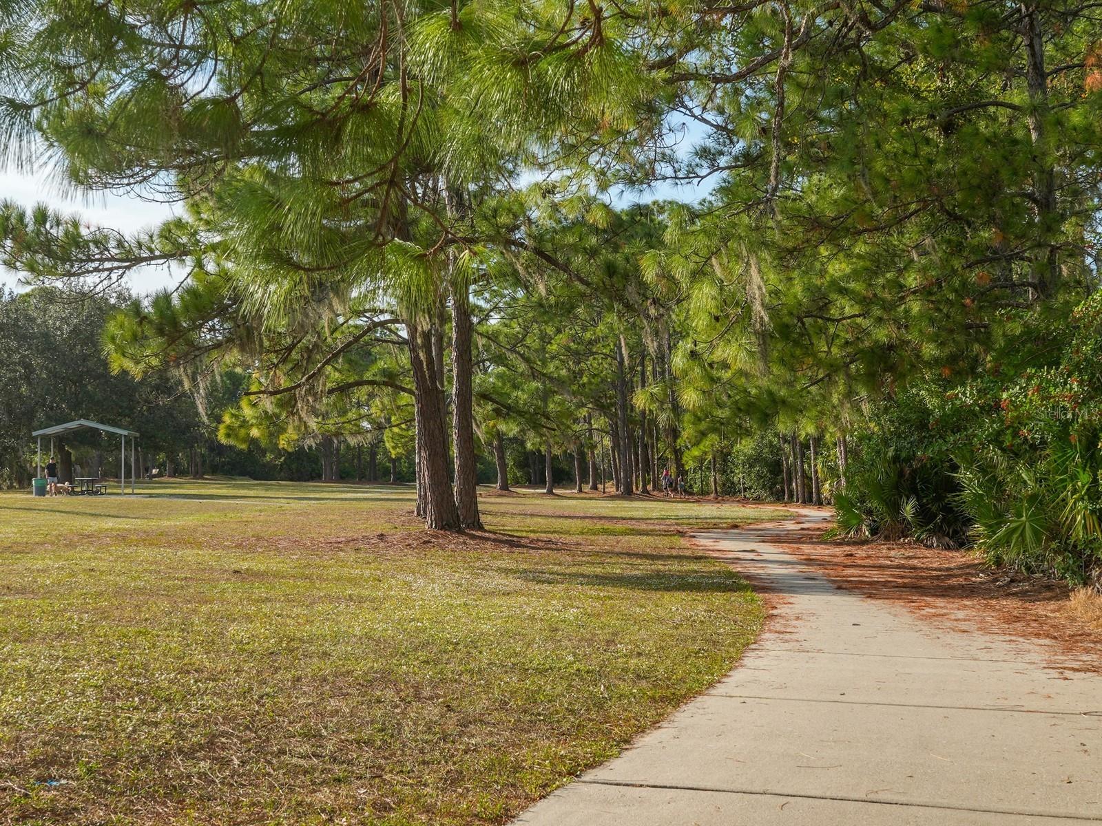 Image 64 of 85 For 6421 Blue Grosbeak Circle