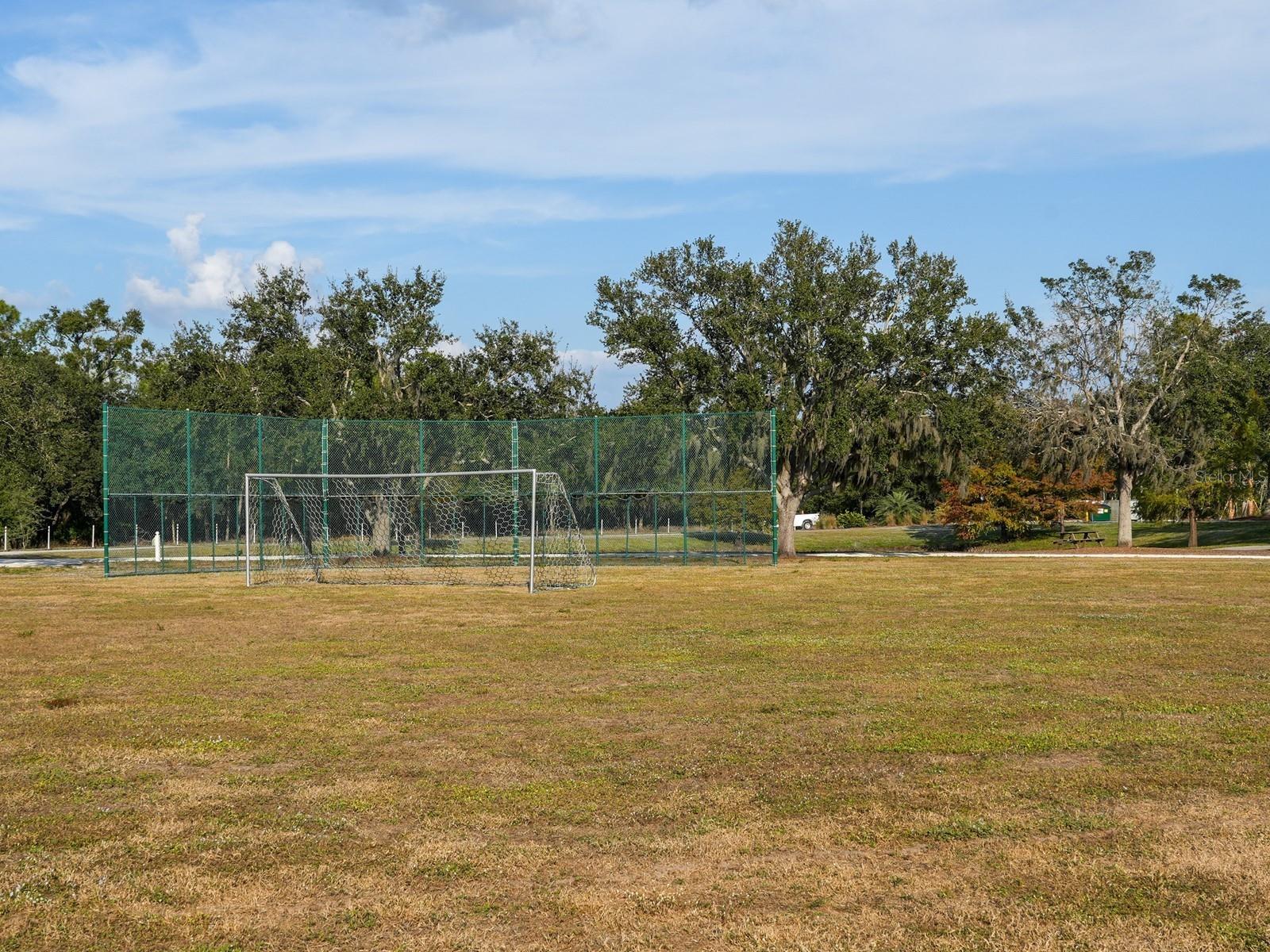 Image 67 of 85 For 6421 Blue Grosbeak Circle