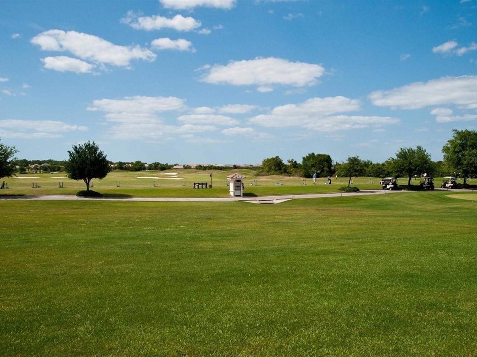 Image 76 of 85 For 6421 Blue Grosbeak Circle