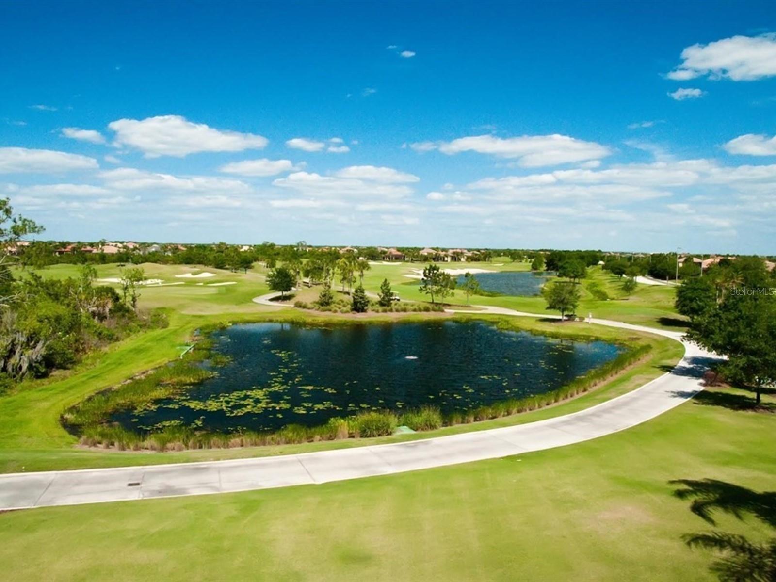 Image 77 of 85 For 6421 Blue Grosbeak Circle