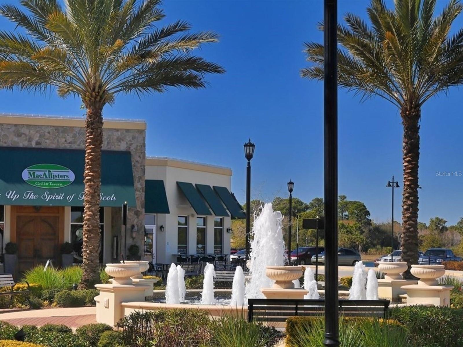 Image 83 of 85 For 6421 Blue Grosbeak Circle