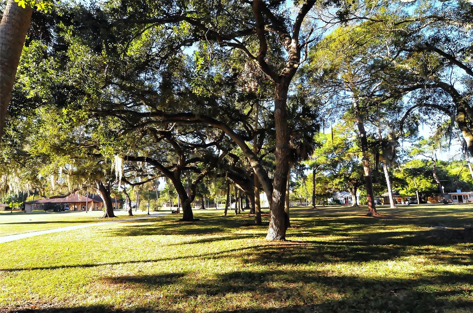 Image 79 of 84 For 640 Osprey Avenue