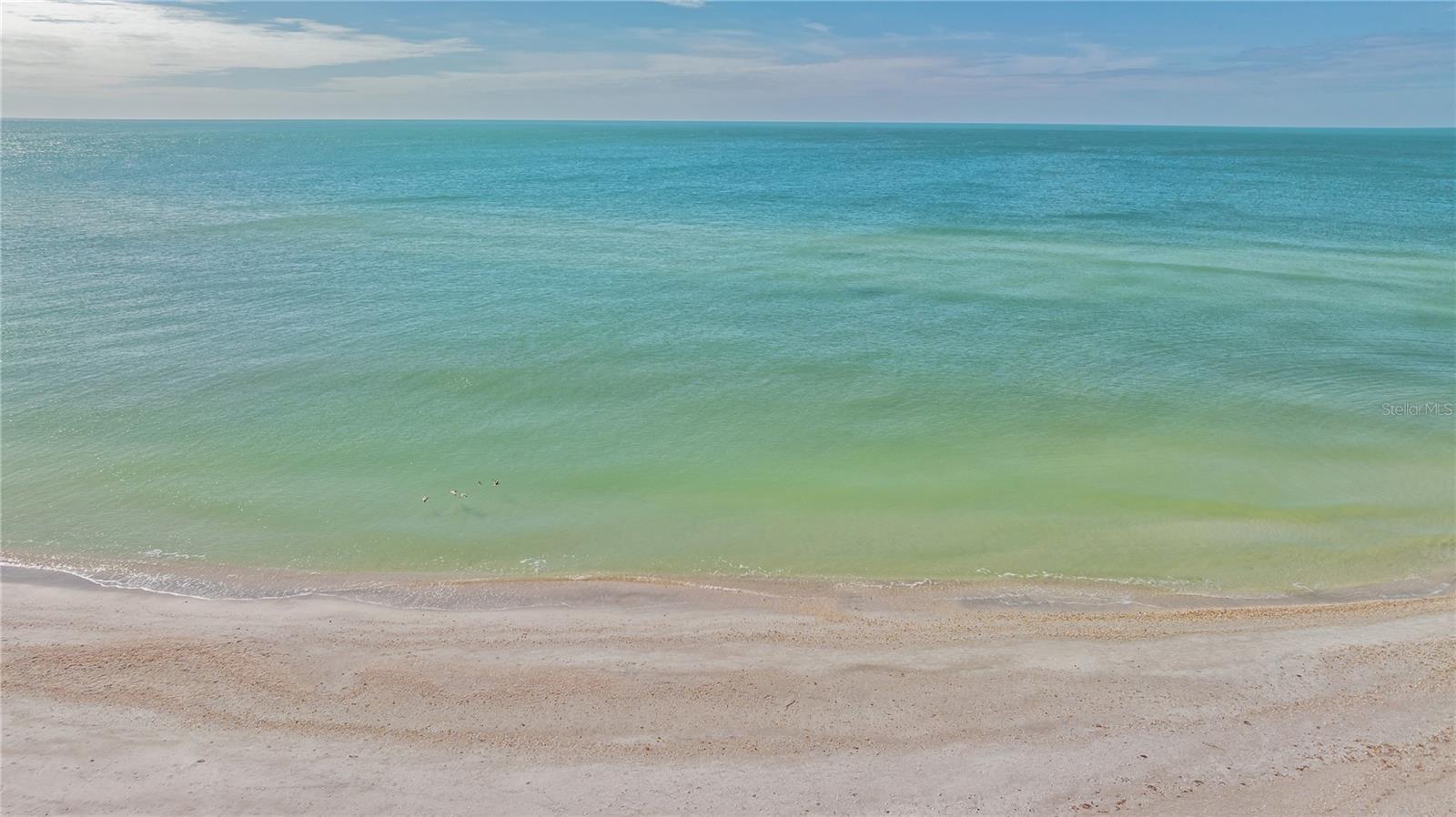 Image 56 of 60 For 2050 Benjamin Franklin Drive B704