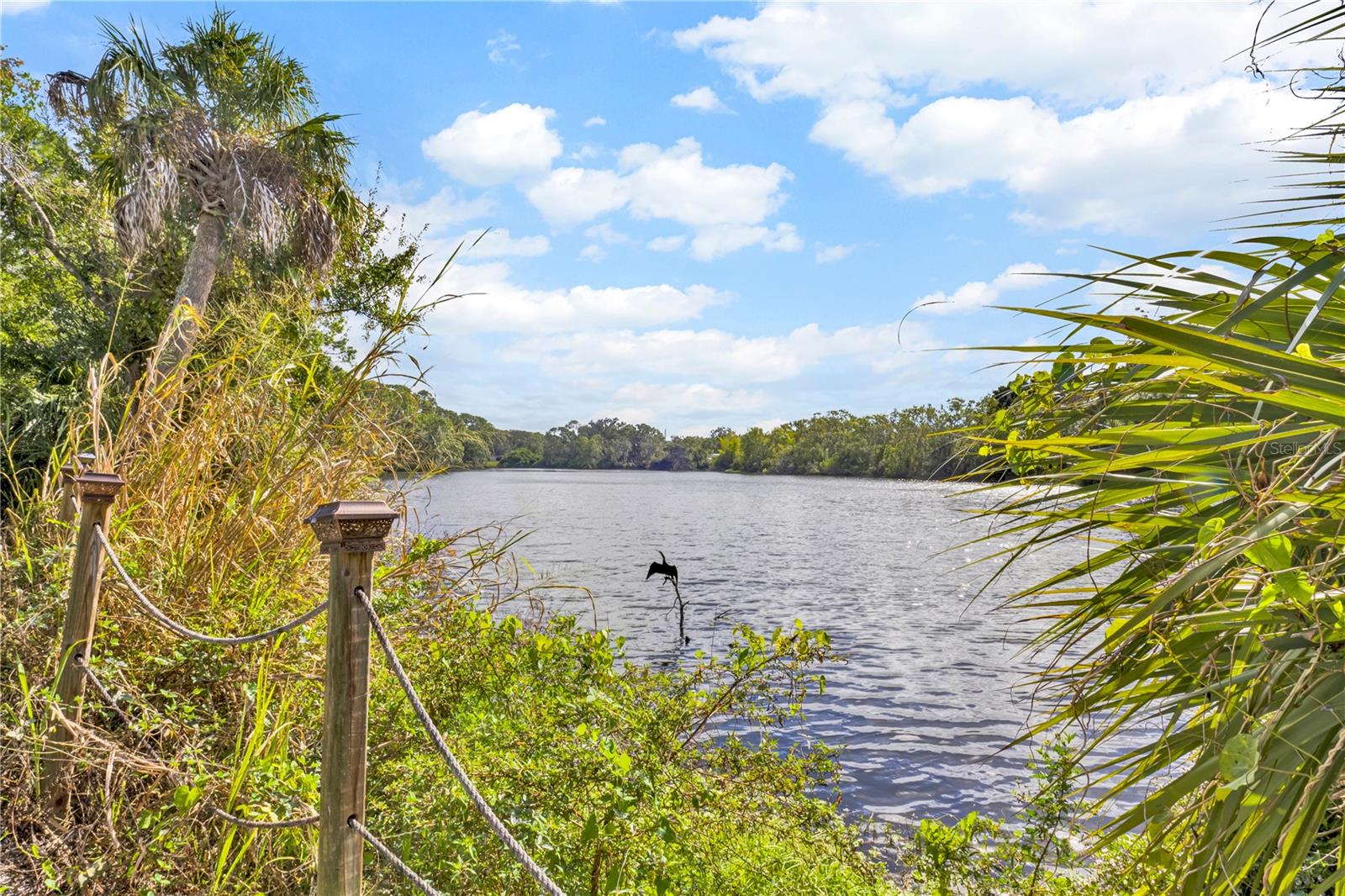 Image 26 of 27 For 4461 Ascot Circle N