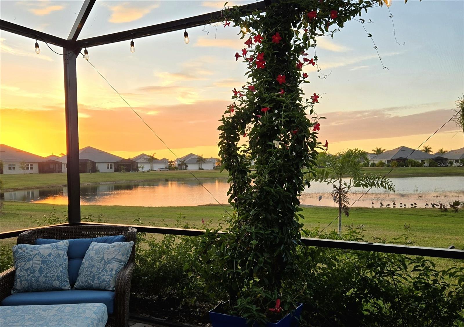 Image 22 of 29 For 235 Okeeffe Circle