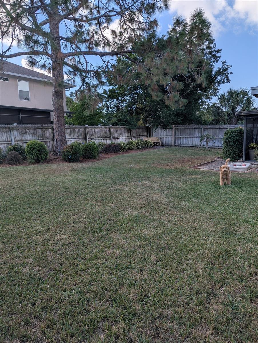 Image 12 of 21 For 2914 Trudy Lane