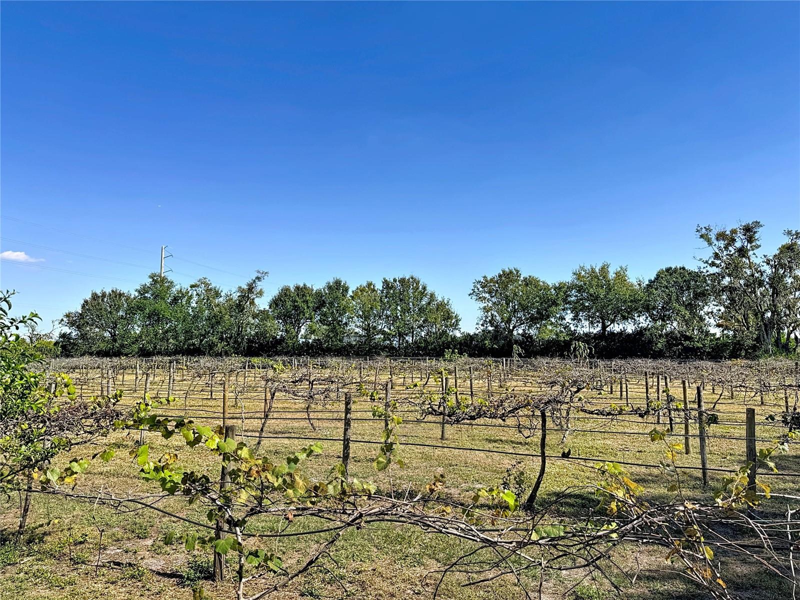 Image 57 of 82 For 19600 State Road 64