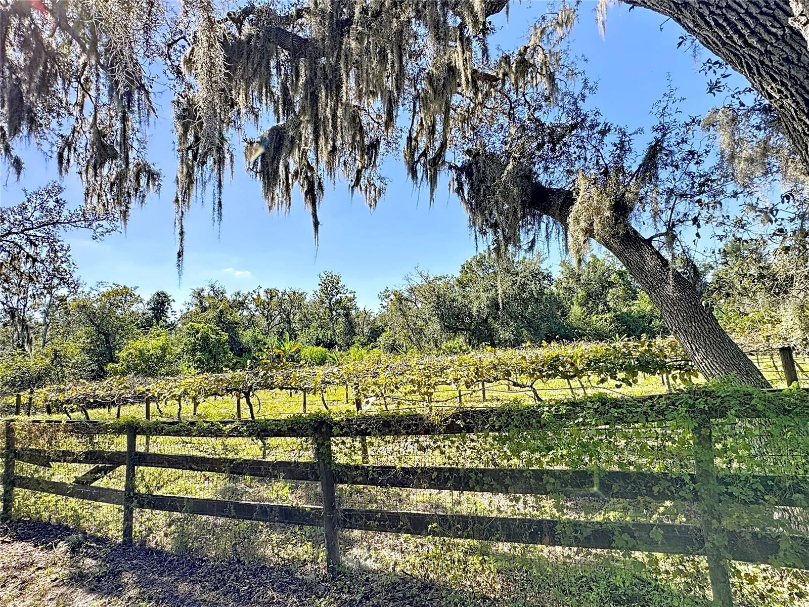 Image 61 of 82 For 19600 State Road 64