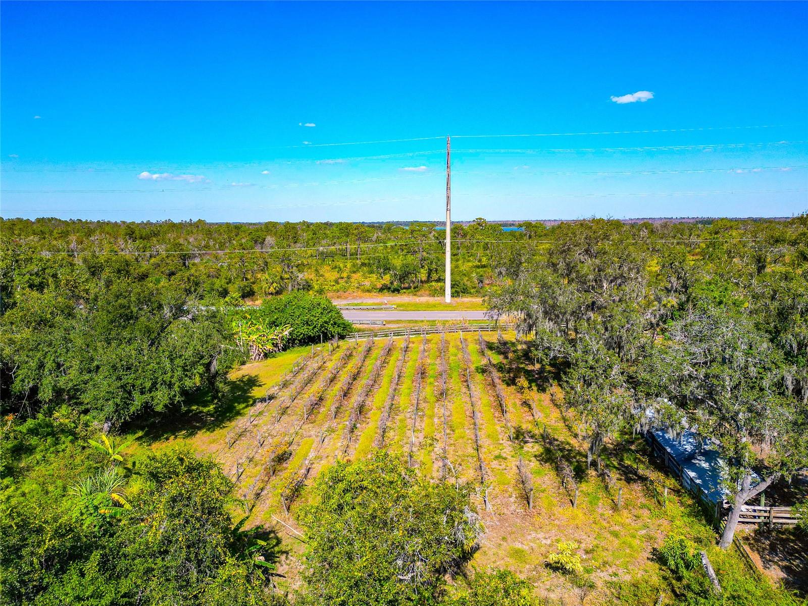 Image 71 of 82 For 19600 State Road 64