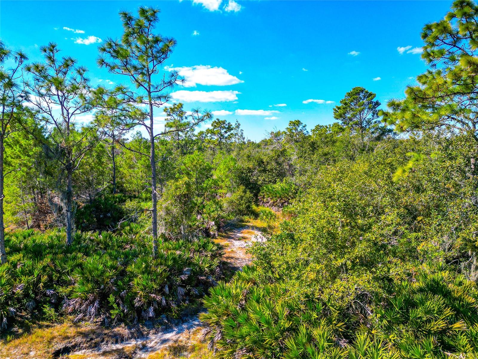 Image 74 of 82 For 19600 State Road 64