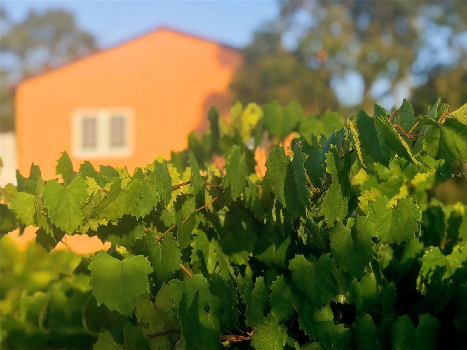 Listing photo id 85 for 19600 State Road 64