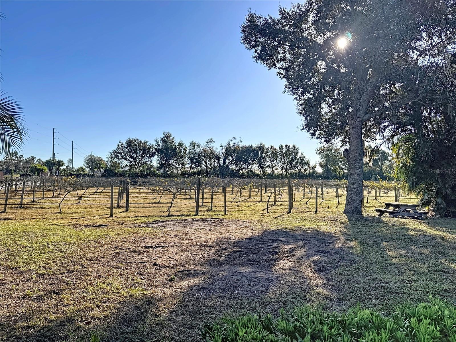 Listing photo id 86 for 19600 State Road 64