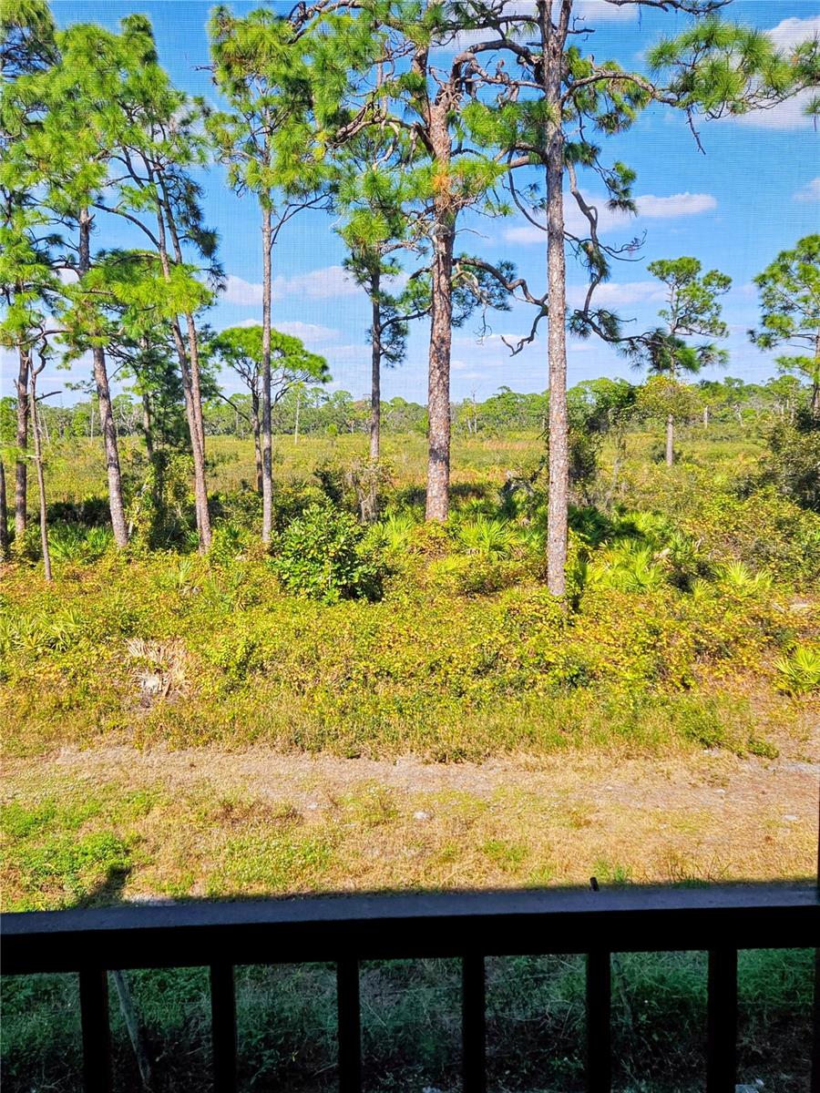 Image 20 of 24 For 215 Rubens Drive 215g