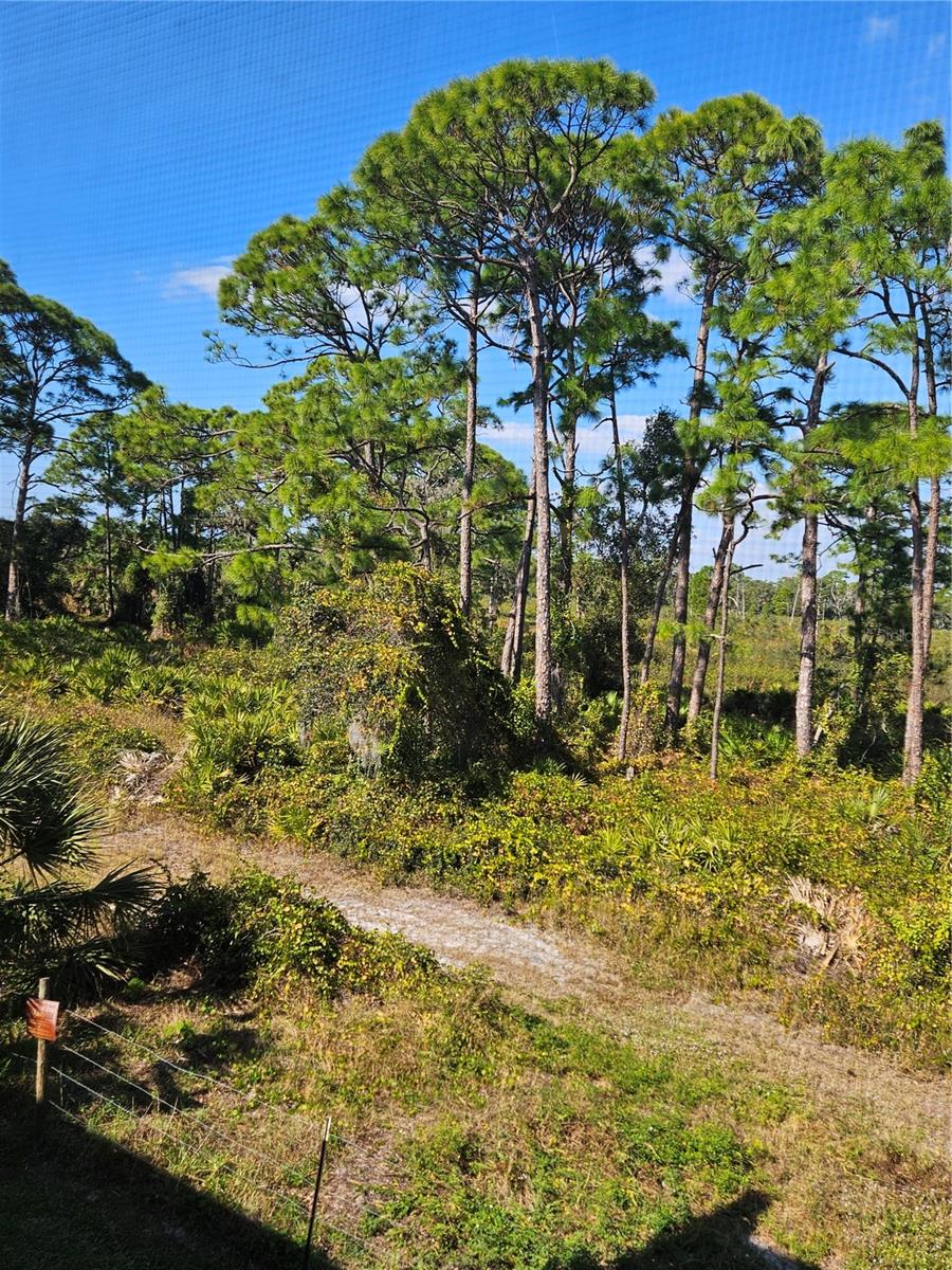 Image 21 of 24 For 215 Rubens Drive 215g