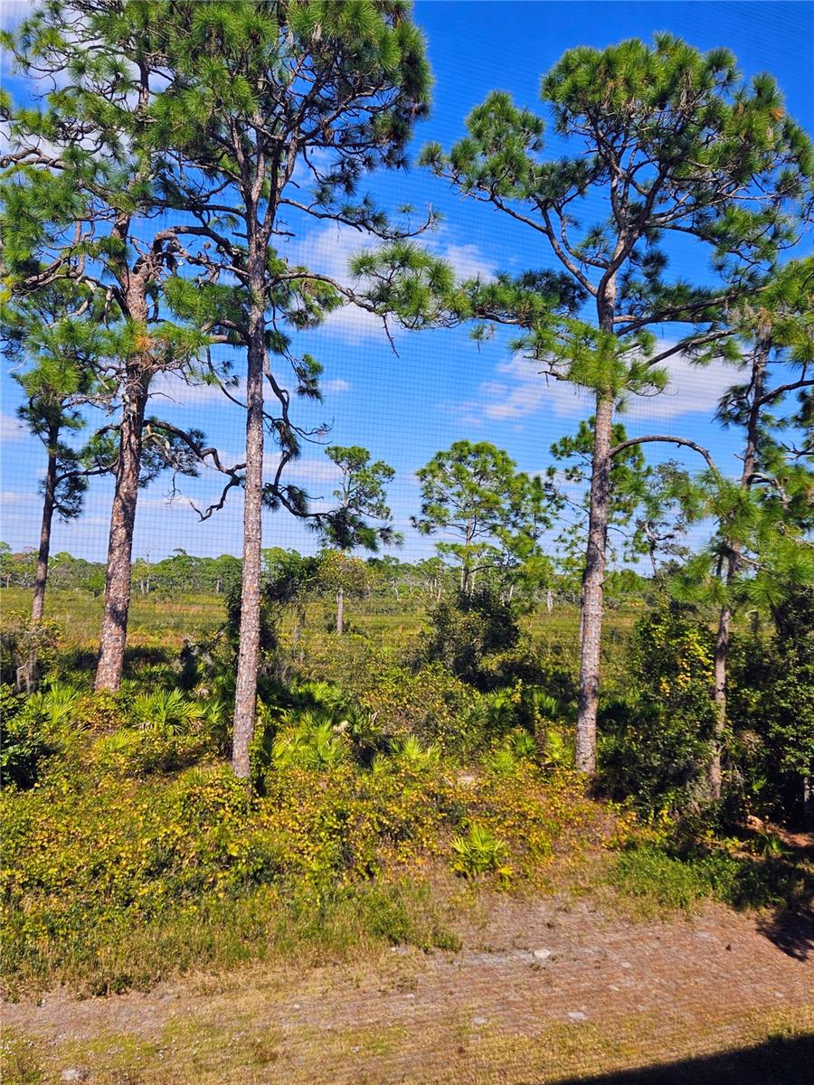 Image 22 of 24 For 215 Rubens Drive 215g