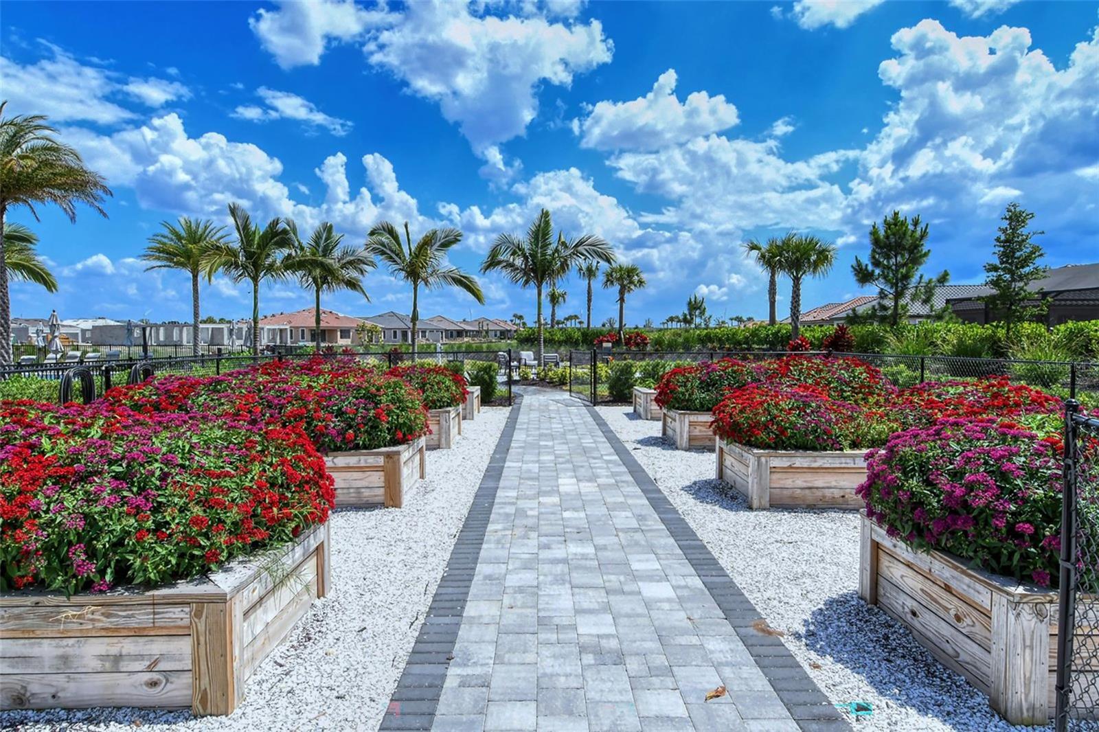 Image 39 of 65 For 5020 Savona Run