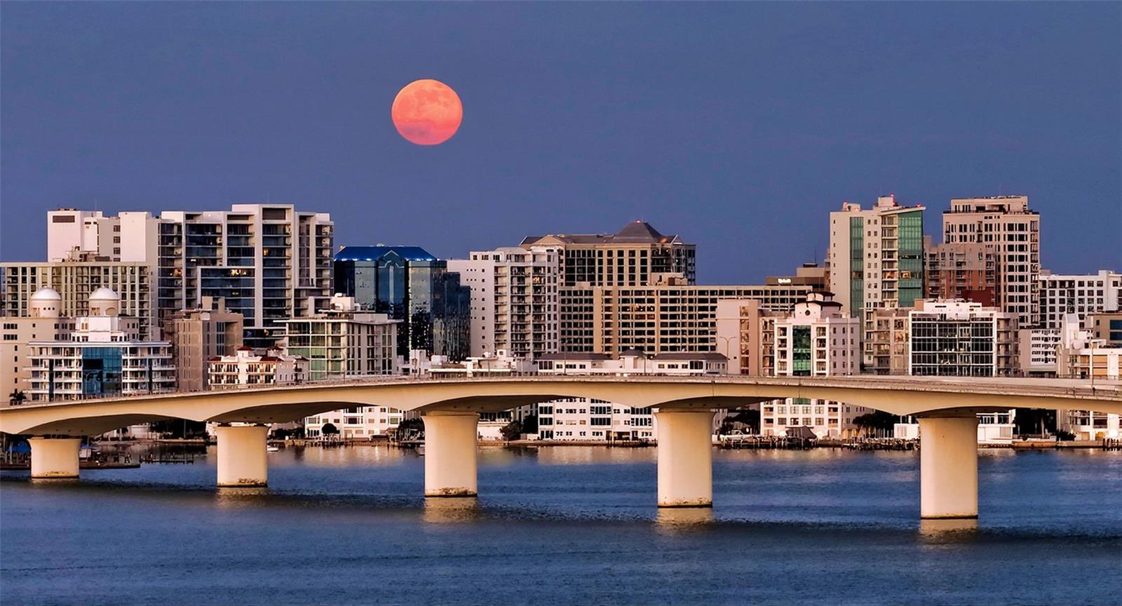 Image 57 of 59 For 300 Pineapple Avenue 902