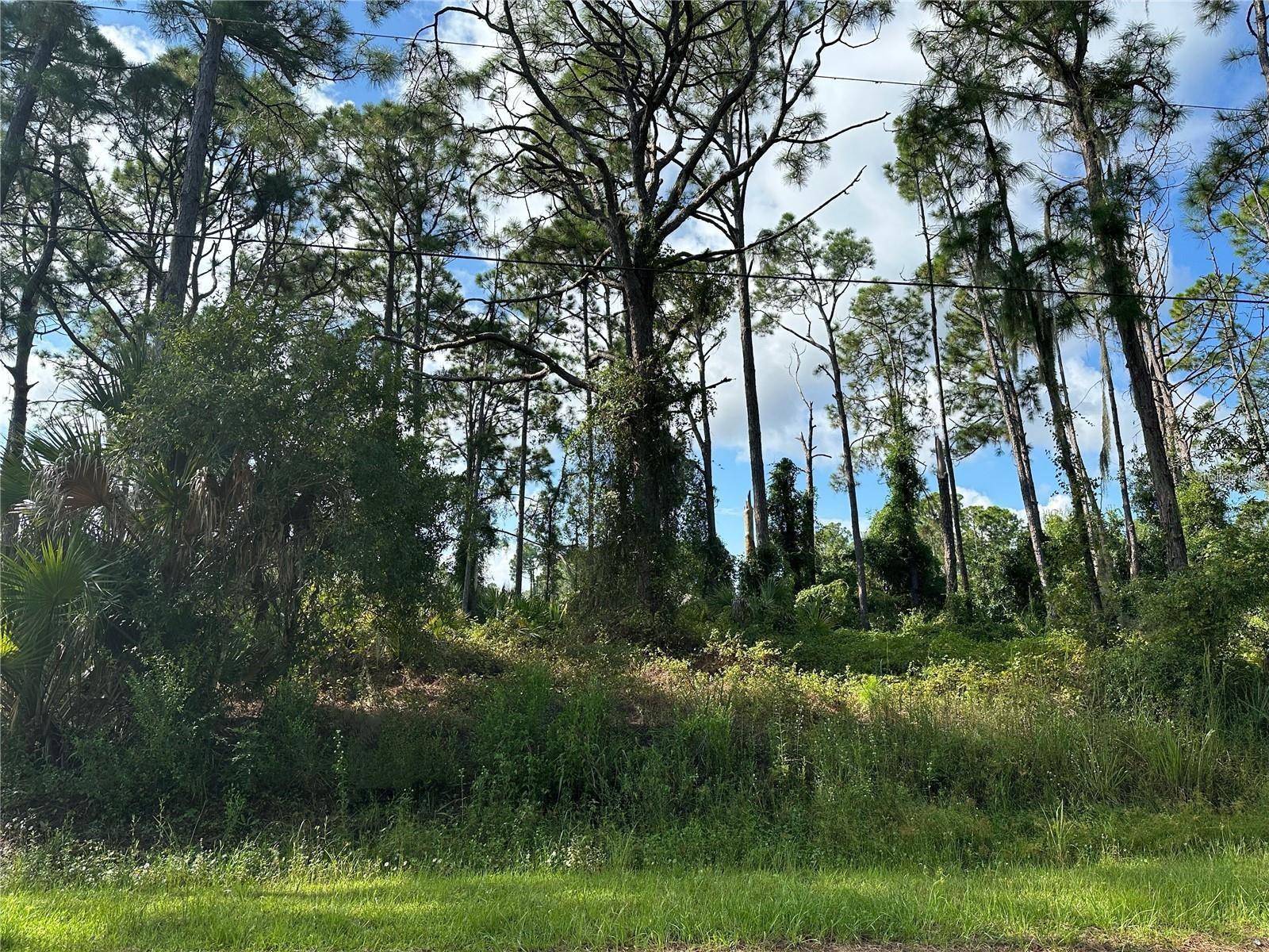 Image 3 of 5 For 3 Abend Avenue