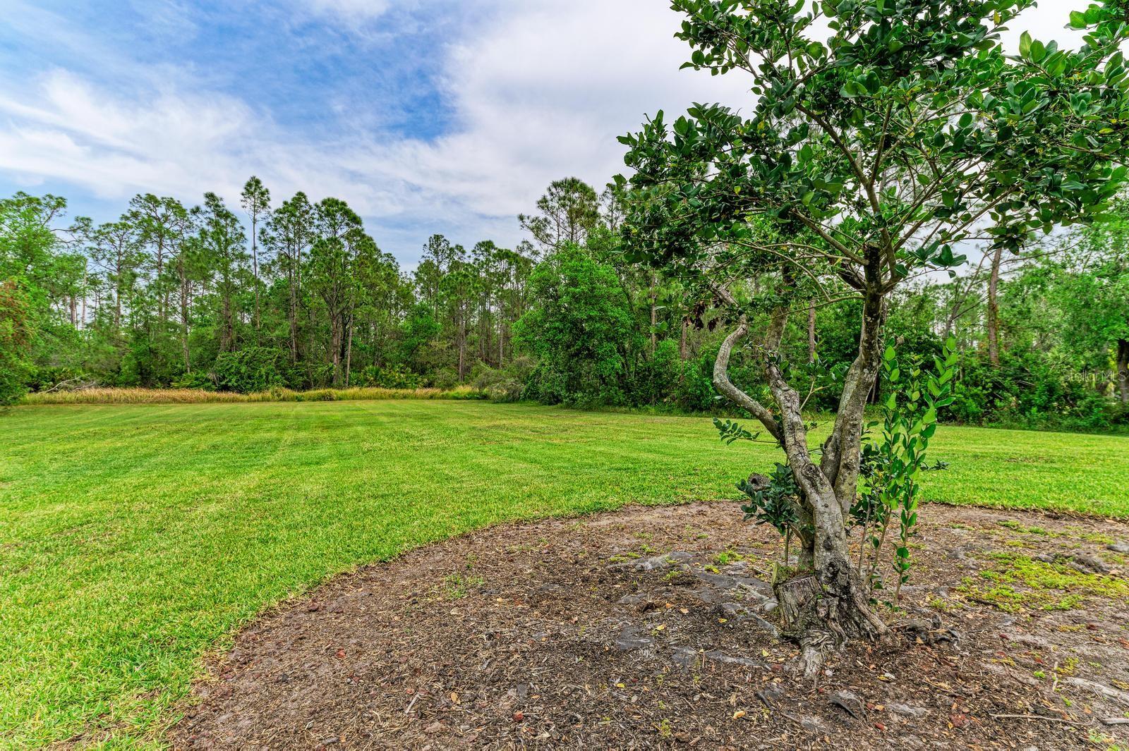 Image 48 of 62 For 22235 Panther Loop