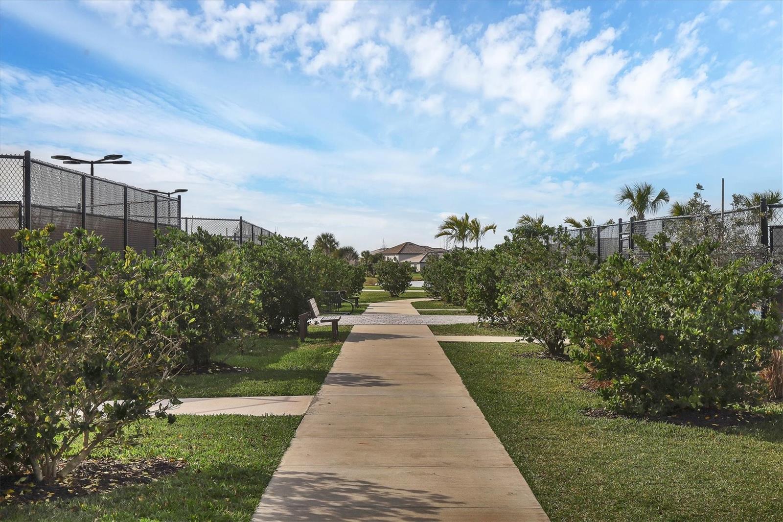 Image 59 of 75 For 5129 Marina Basin Court