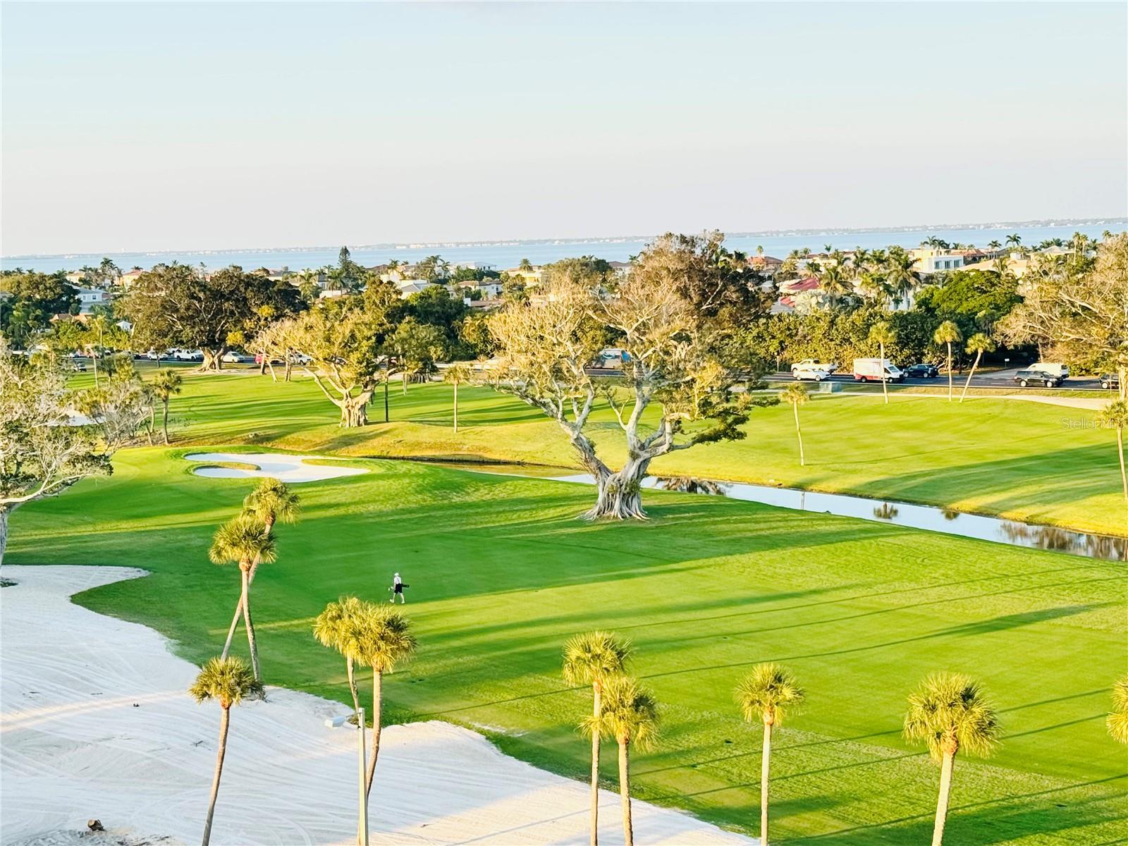 Image 47 of 78 For 775 Longboat Club Road 705