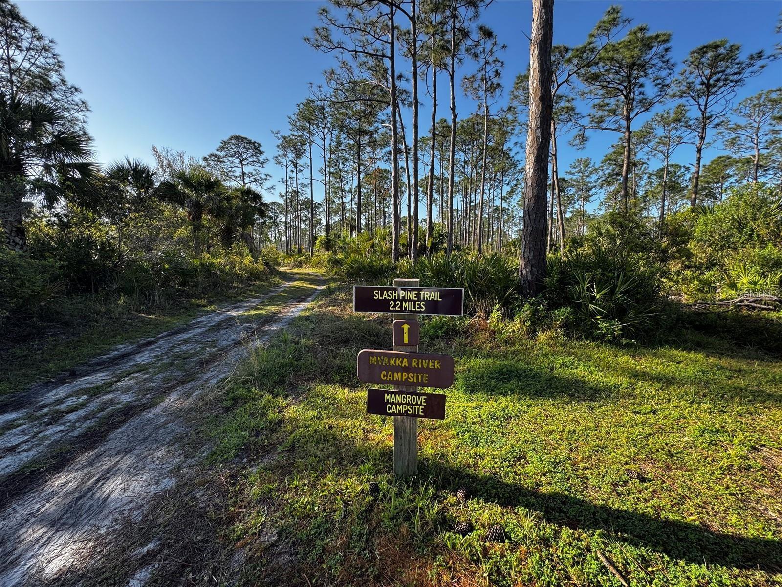 Image 41 of 44 For 9031 Hilolo Lane