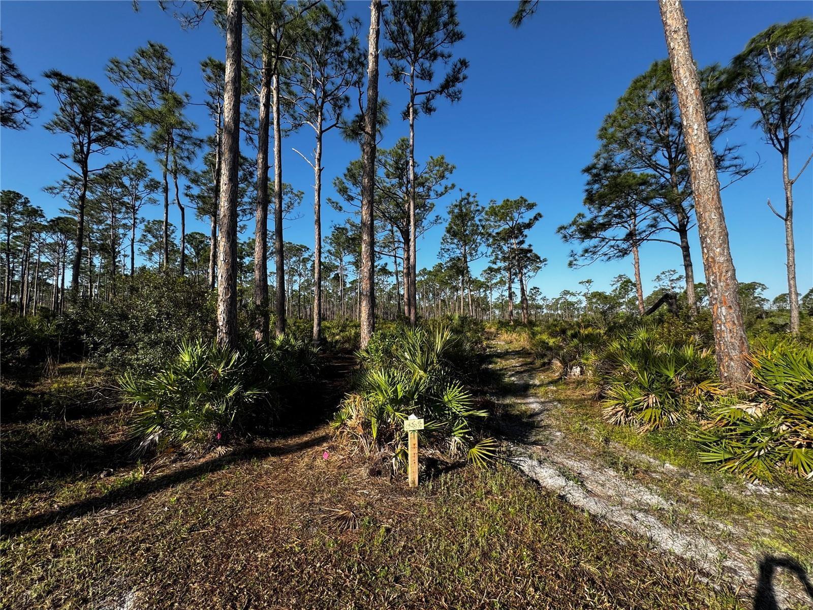 Image 43 of 44 For 9031 Hilolo Lane