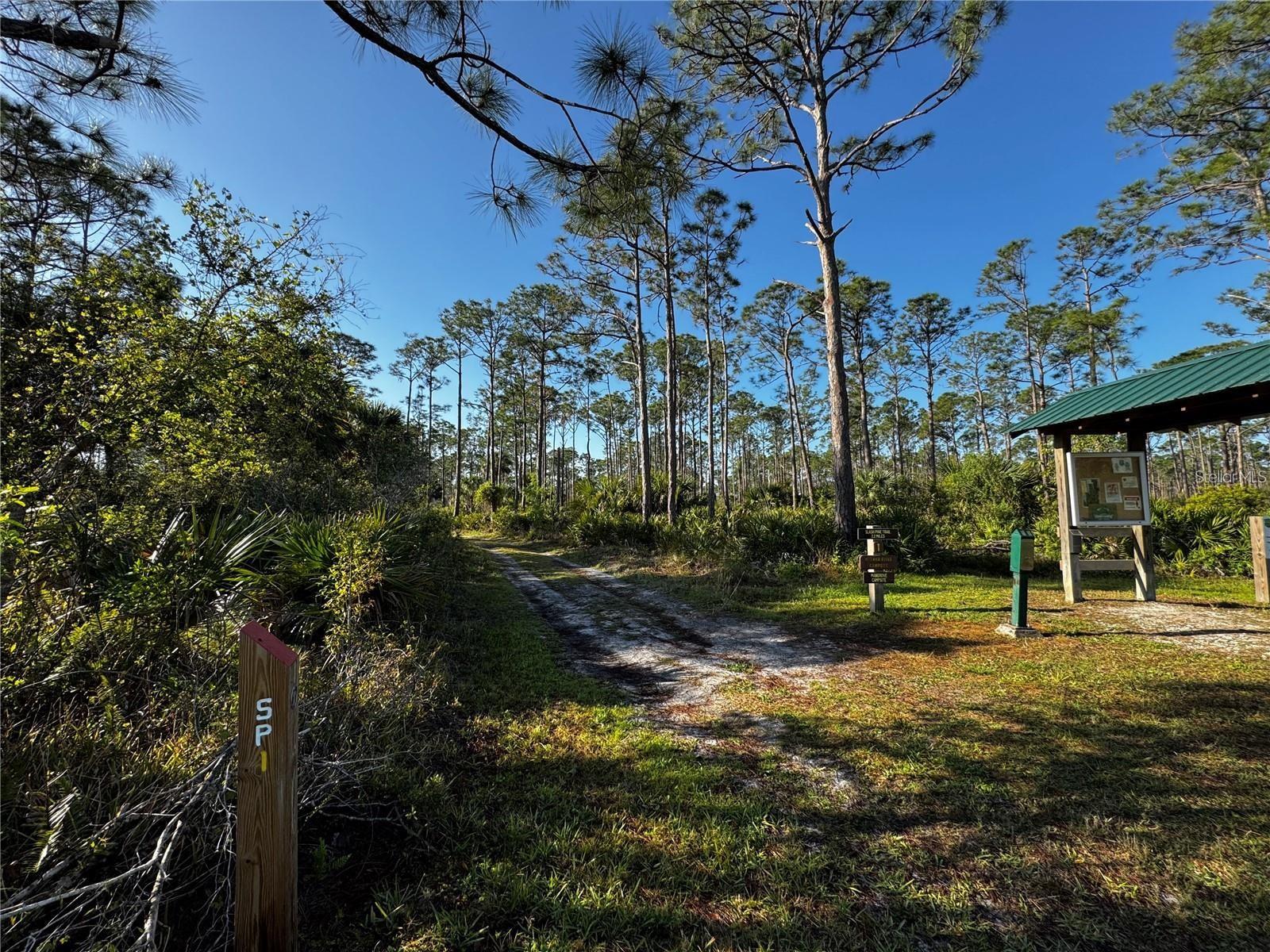 Image 44 of 44 For 9031 Hilolo Lane