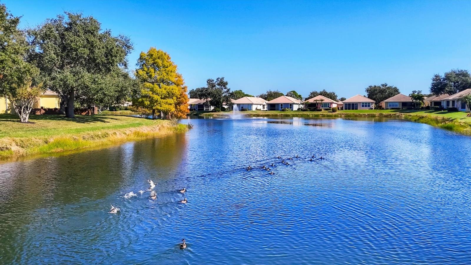 Image 35 of 44 For 4226 Reflections Parkway