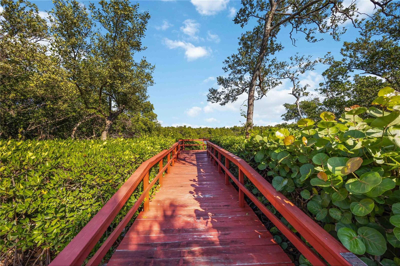 Image 51 of 70 For 9608 Valencia Cove