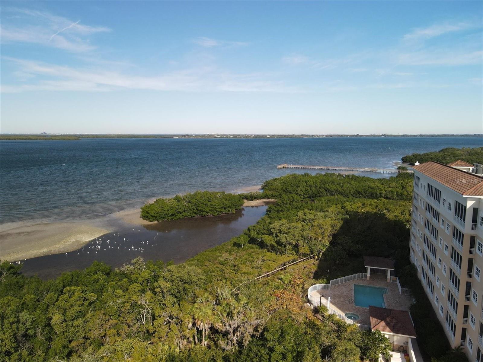 Image 33 of 55 For 2715 Terra Ceia Bay Boulevard 702