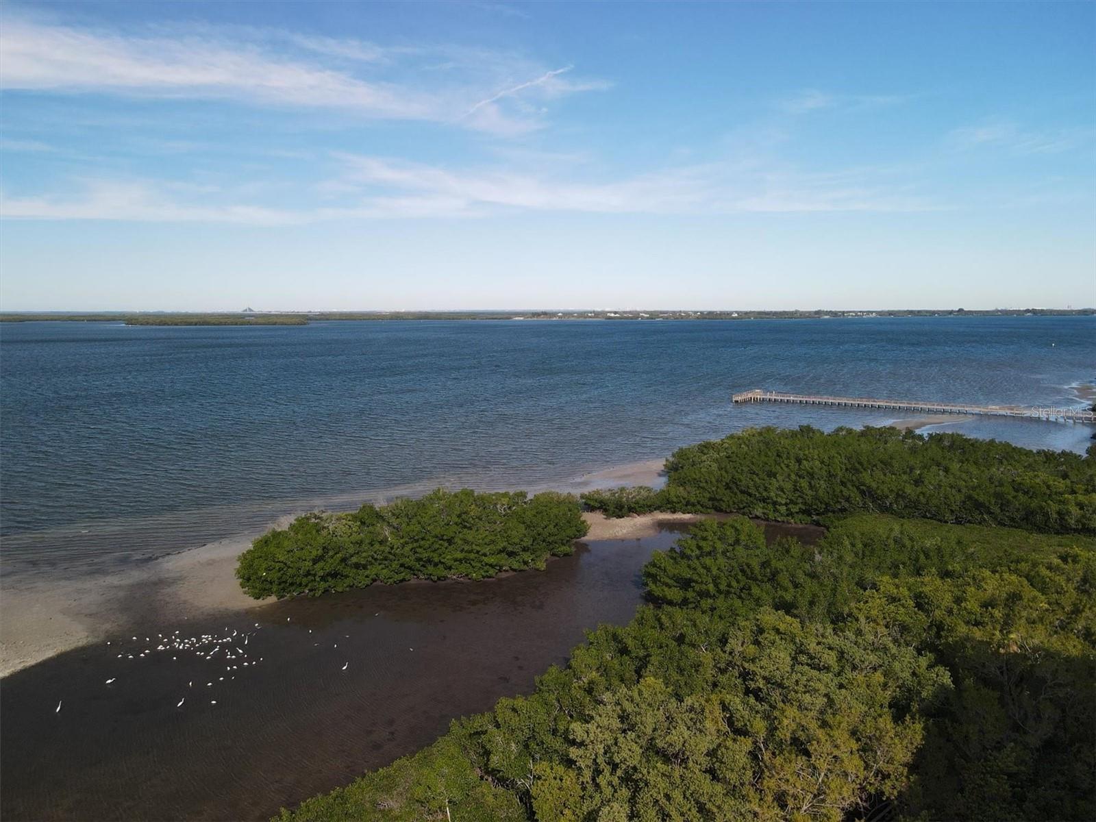 Image 34 of 55 For 2715 Terra Ceia Bay Boulevard 702