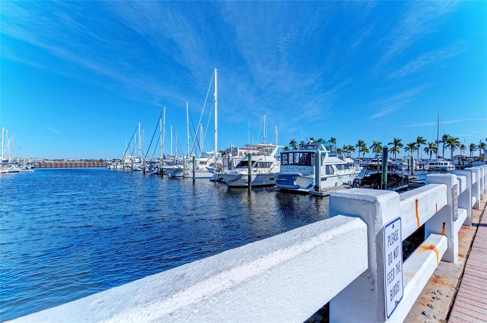 Image 60 of 66 For 2014 Riverside Drive E