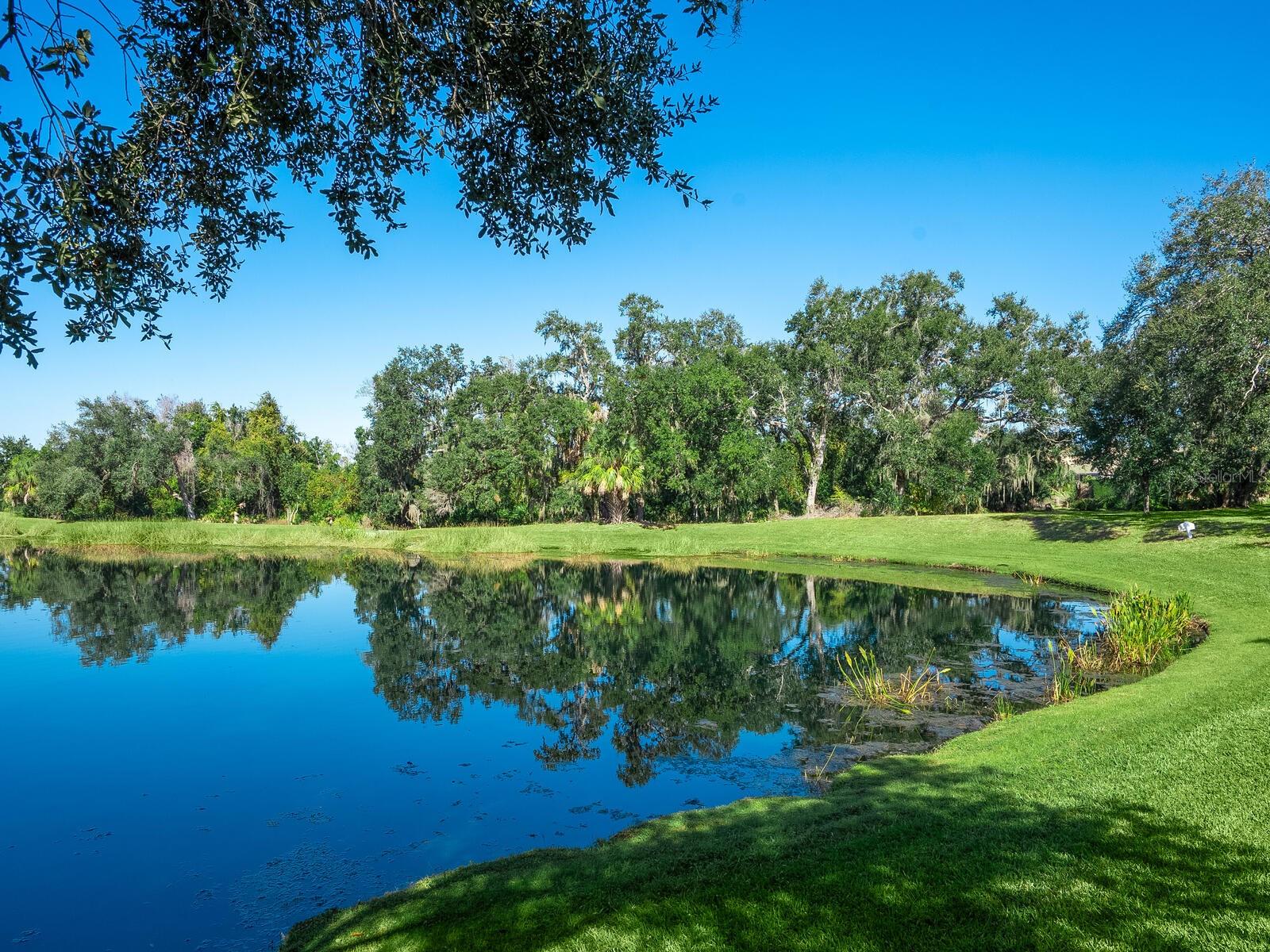 Image 45 of 57 For 12129 Thornhill Court